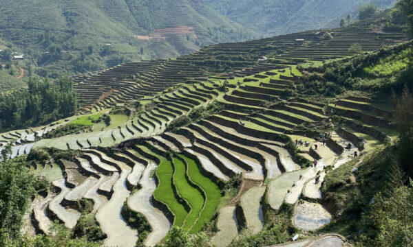 Rice terraces in Ta Phin Village.