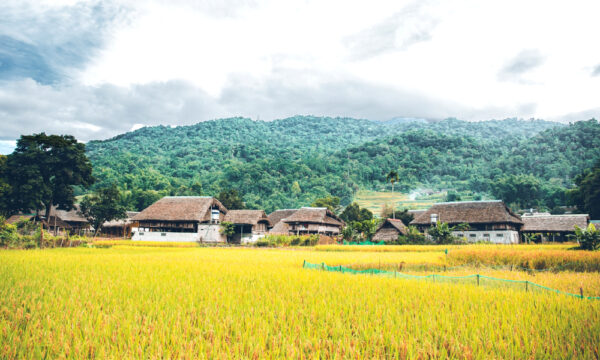 Panorama of Tha Village.