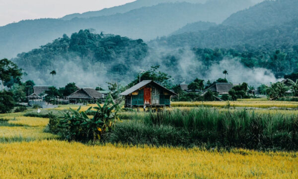 Tha Village in Ha Giang.