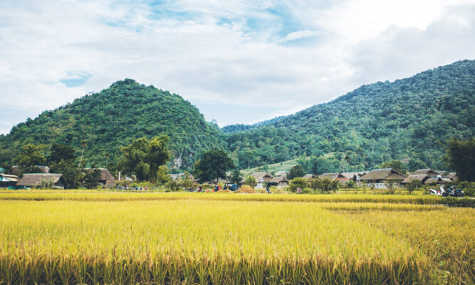 Panorama of Tha Village.