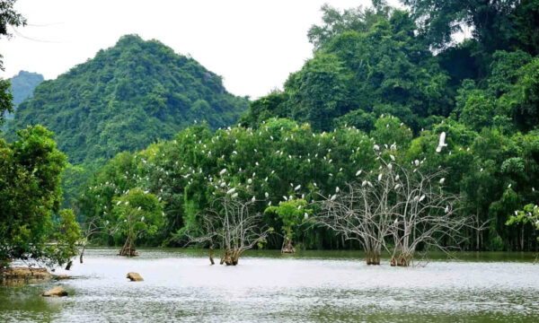 Thung Nham Bird Park.