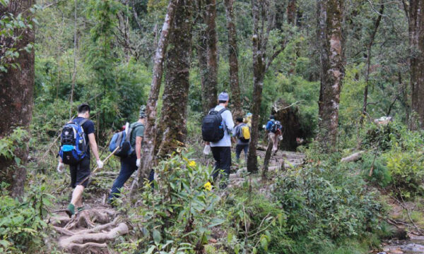 Trekking in Hoang Lien National Park.