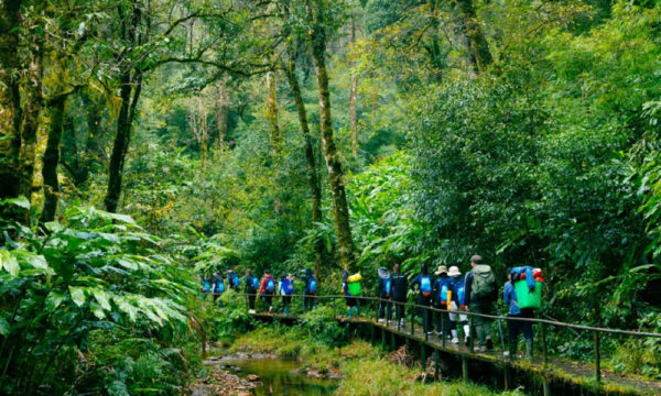 Trekking route inside Hoang Lien National Park.