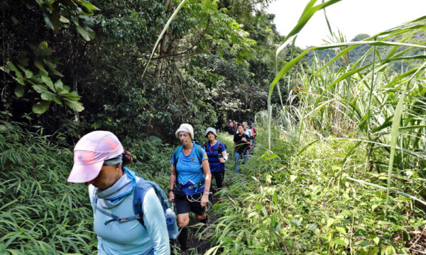 Trekking through the forest in Viet Hai Village.