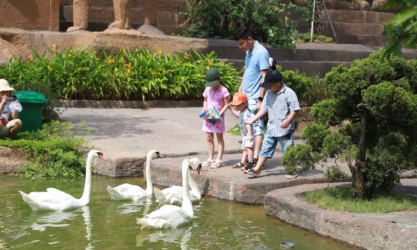 Guests with animals inside Tuan Chau Park.