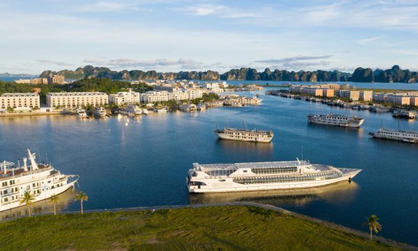 Ships in Tuan Chau Port.