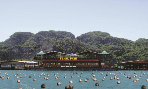 Halong Bay panorama around Tung Sau Pearl Farm area.