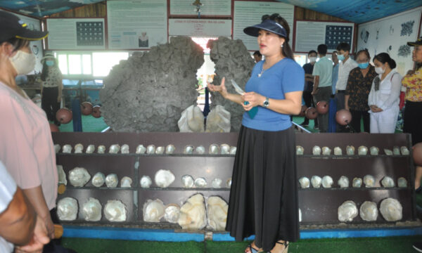 Pearl museum in Tung Sau Pearl Farm.
