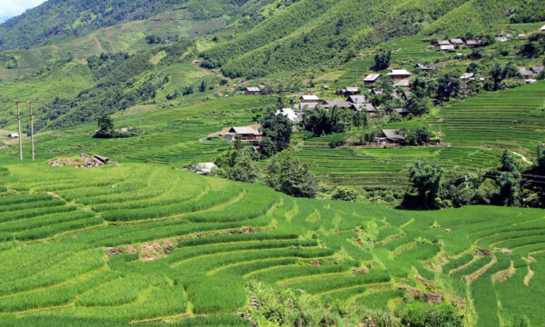 Village of Ban Ho commune in Sapa.