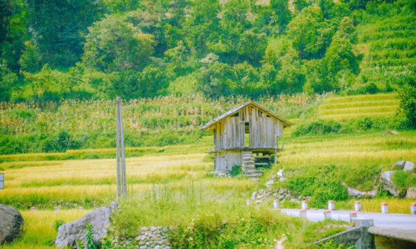 Wooden houses in Nam Cang Village.