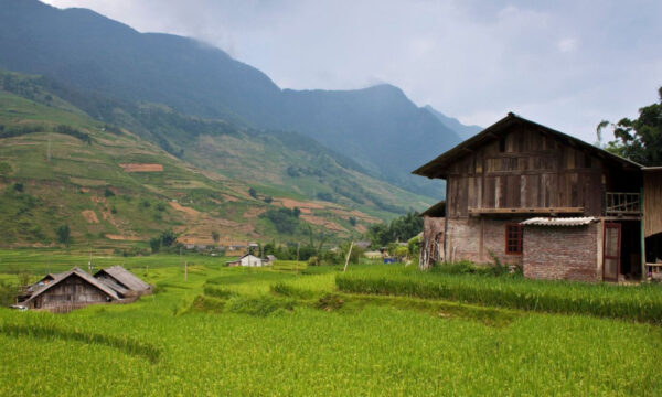 Wooden houses in Sin Chai Village.