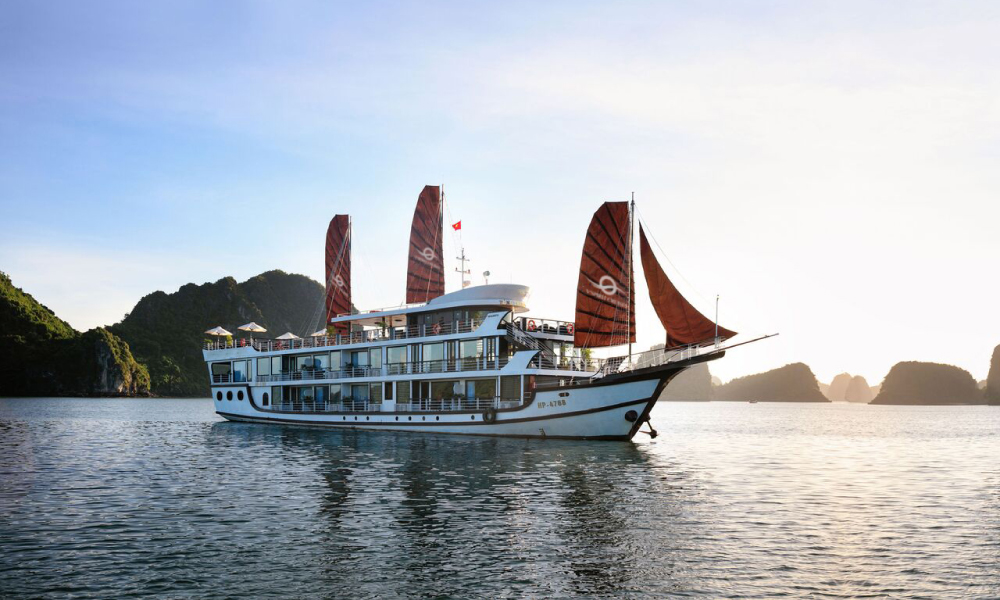 Overview of V'Spirit Cruise.