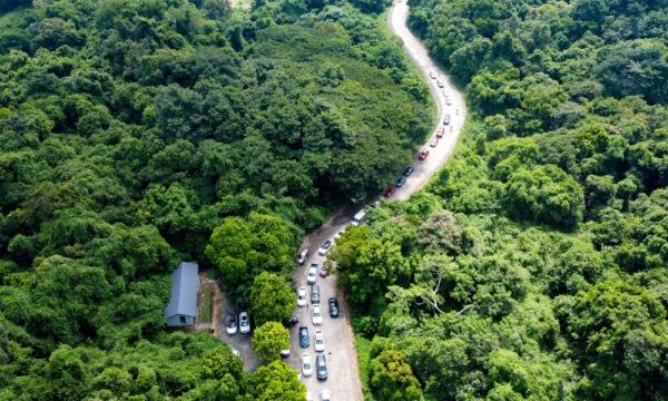 Cuc Phuong National Park from above.