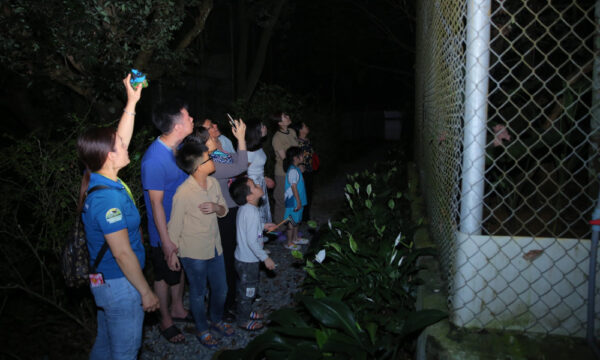 Night tour in Cuc Phuong National Park.