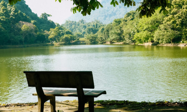 The lake of Cuc Phuong National Park.