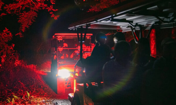 Guests on Cuc Phuong National Park night tour.