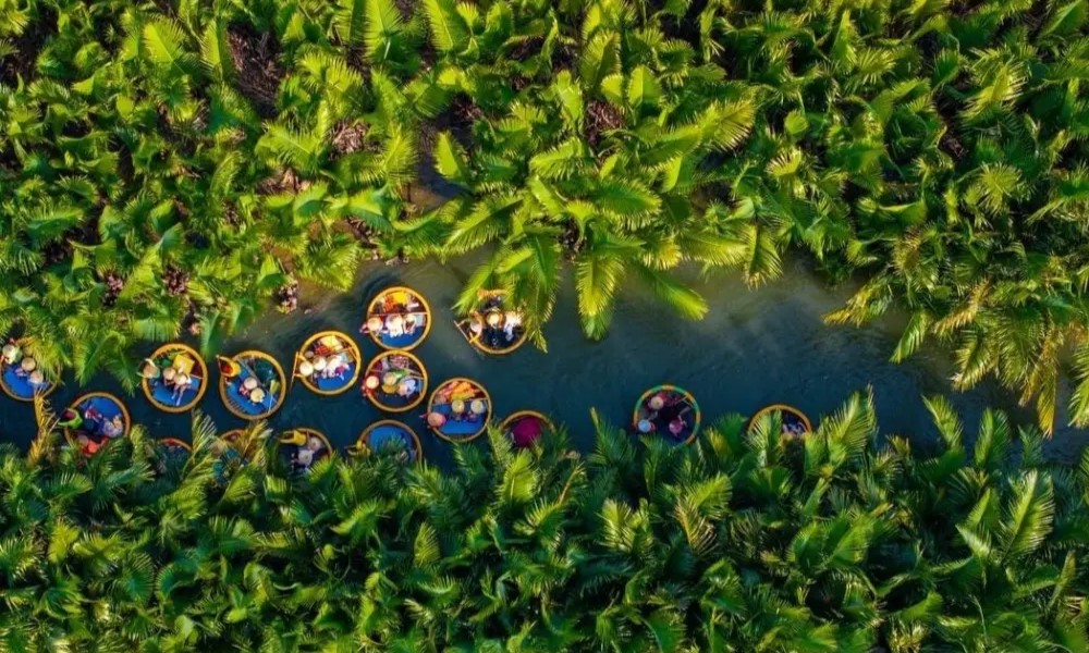 Bay Mau coconut forest in Cam Thanh Village.
